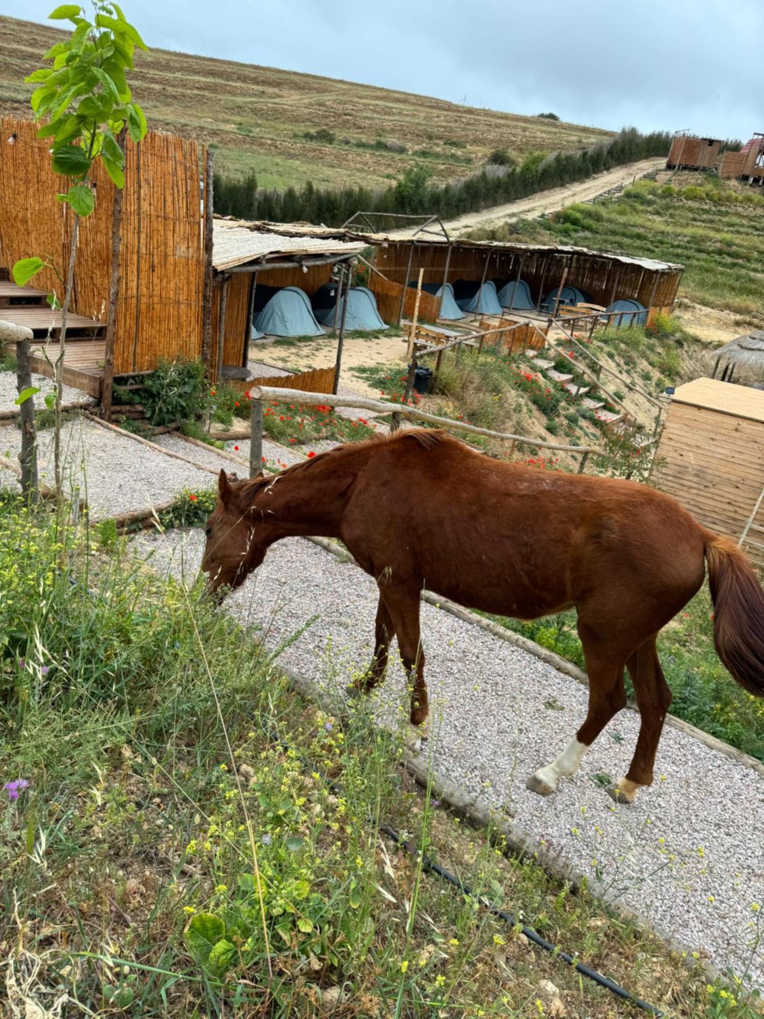 Ghar El Melh Outdoors 호텔 Ra's al Jabal 외부 사진